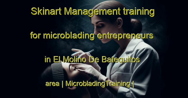 Skinart Management training for microblading entrepreneurs in El Molino De Batequitos area | MicrobladingTraining | MicrobladingClasses | SkinartTraining-Mexico